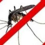 Obavijest o dezinsekciji komaraca na području  Općine Lipovljani